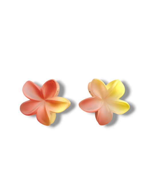 Mini ganchos flores