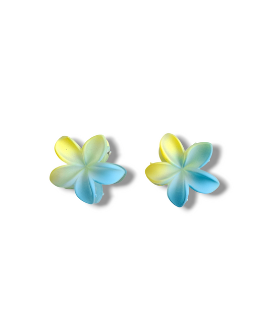 Ganchos mini flor