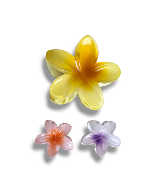 Pack Flores