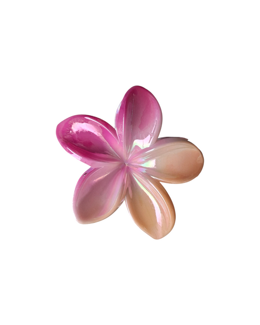 Gancho flor nacarado